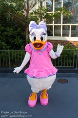 Daisy Duck