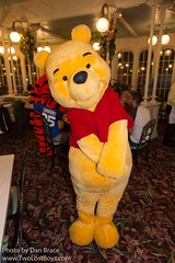 Winnie the Pooh