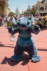 Stitch