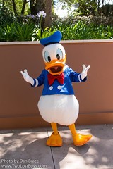 Donald Duck