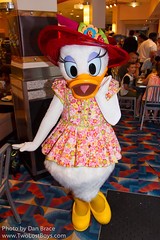 Daisy Duck