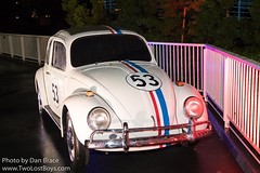 Herbie