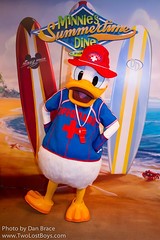 Donald Duck