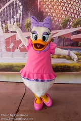 Daisy Duck