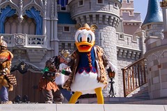 Donald Duck