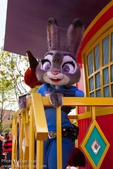 Judy Hopps