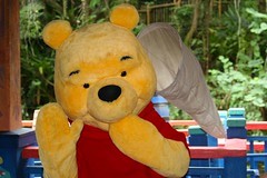 Winnie the Pooh