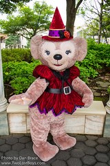 ShellieMay, The Disney Bear