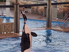 SeaWorld Orlando