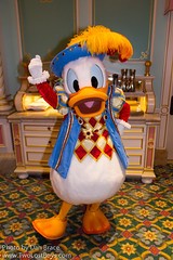 Donald Duck