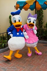 Donald Duck