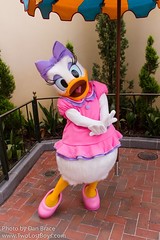 Daisy Duck