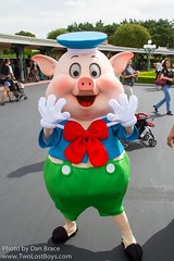 Fiddler Pig