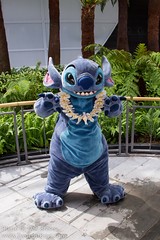 Stitch