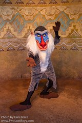 Rafiki