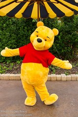 Winnie the Pooh