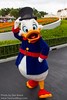 Scrooge McDuck