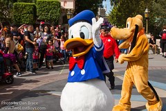 Donald Duck