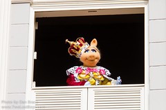 Miss Piggy