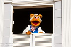 Fozzie