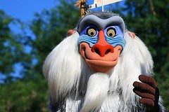 Rafiki