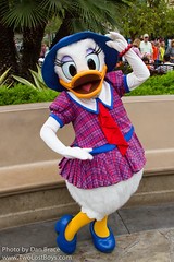 Daisy Duck