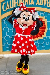 Minnie Mouse (VISA Meet 'n' Greet)