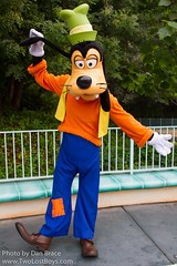 Goofy