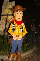 Woody