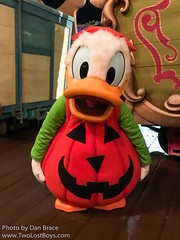 Donald Duck (Fantasyland)