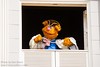 Fozzie