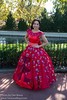 Princess Elena of Avalor