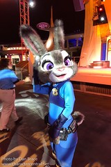 Judy Hopps