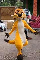 Timon