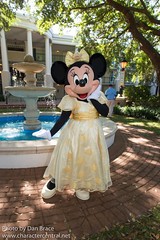 Minnie Mouse (4th of July)