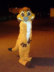 Timon