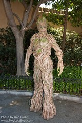 Groot