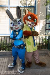 Judy Hopps