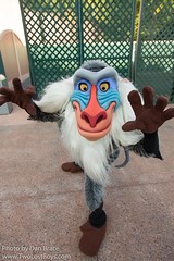 Rafiki