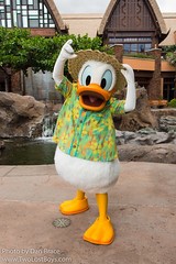 Donald Duck