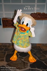 Donald Duck