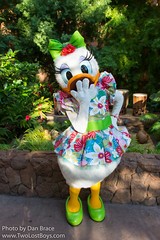 Daisy Duck