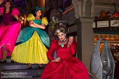 Lady Tremaine