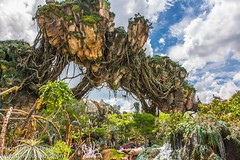 Pandora - The World of Avatar