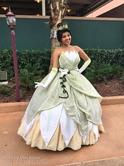 Princess Tiana