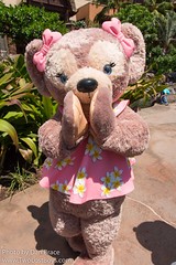 ShellieMay, The Disney Bear