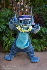 Stitch