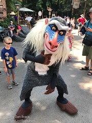 Rafiki