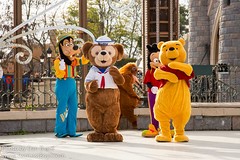 Duffy the Disney Bear