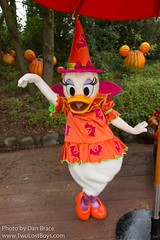 Daisy Duck